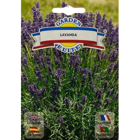 Semillas de Lavanda | Planta Aromática y Relajante