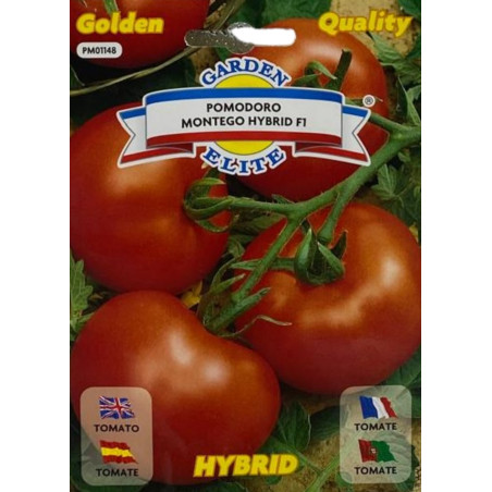 Frutos rojos y brillantes de tomate montego híbrido en una planta, perfectos para sembrar nuestras semillas de tomate premium.
