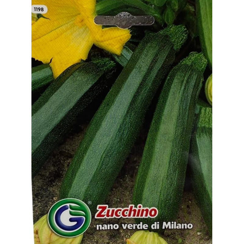 Semillas de Zucchino Nano Verde de Milán | Calidad Premium