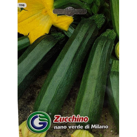 Semillas de Zucchino Nano Verde de Milán | Calidad Premium