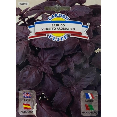 semillas de albahaca morada