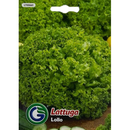 Semillas de Lechuga Bionda di Parigi | Lechuga Tierna
