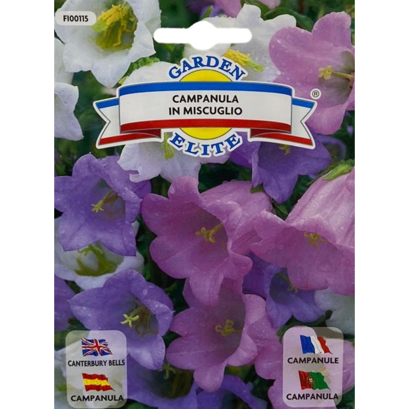 Semillas de Campánula | Flor Campanita Ornamental