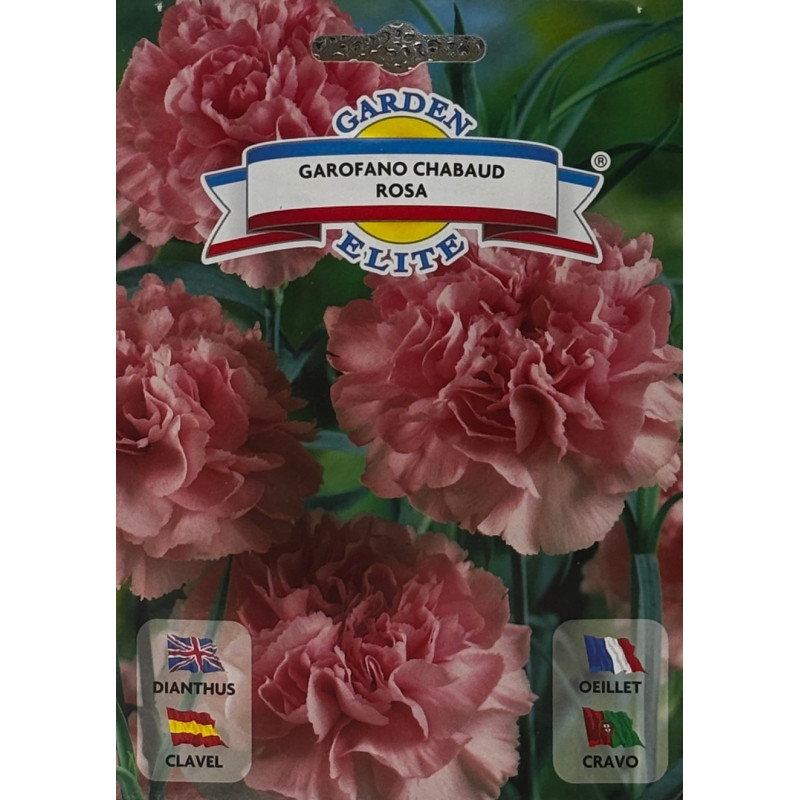 Semillas de Clavel Rosado | Flor Delicada y Aromática