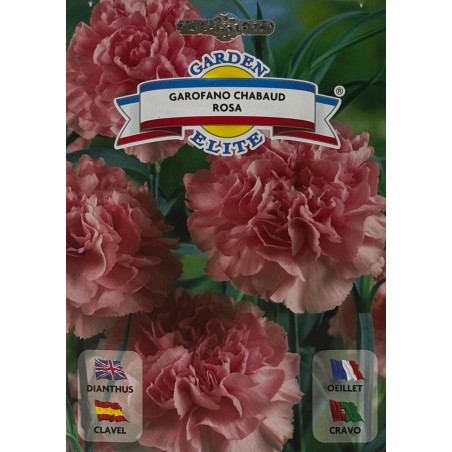 Semillas de Clavel Rosado | Flor Delicada y Aromática