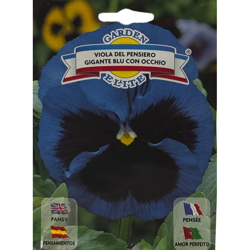 Semillas de Pensamiento Azul | Floración Vibrante y Elegante
