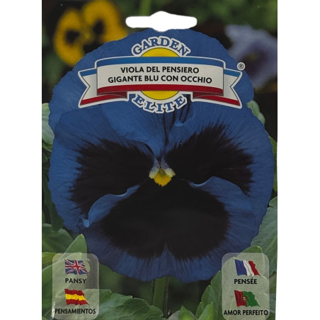 Semillas de Pensamiento Azul | Floración Vibrante y Elegante