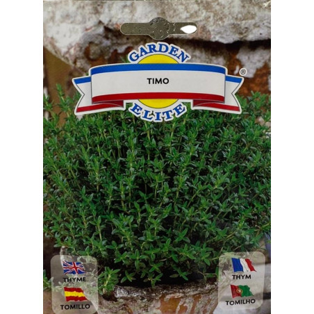 Planta de tomillo aromática con hojas pequeñas y verdes, perfecta para sembrar nuestras semillas de calidad premium.
