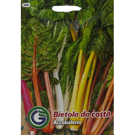 semillas de acelga de colores