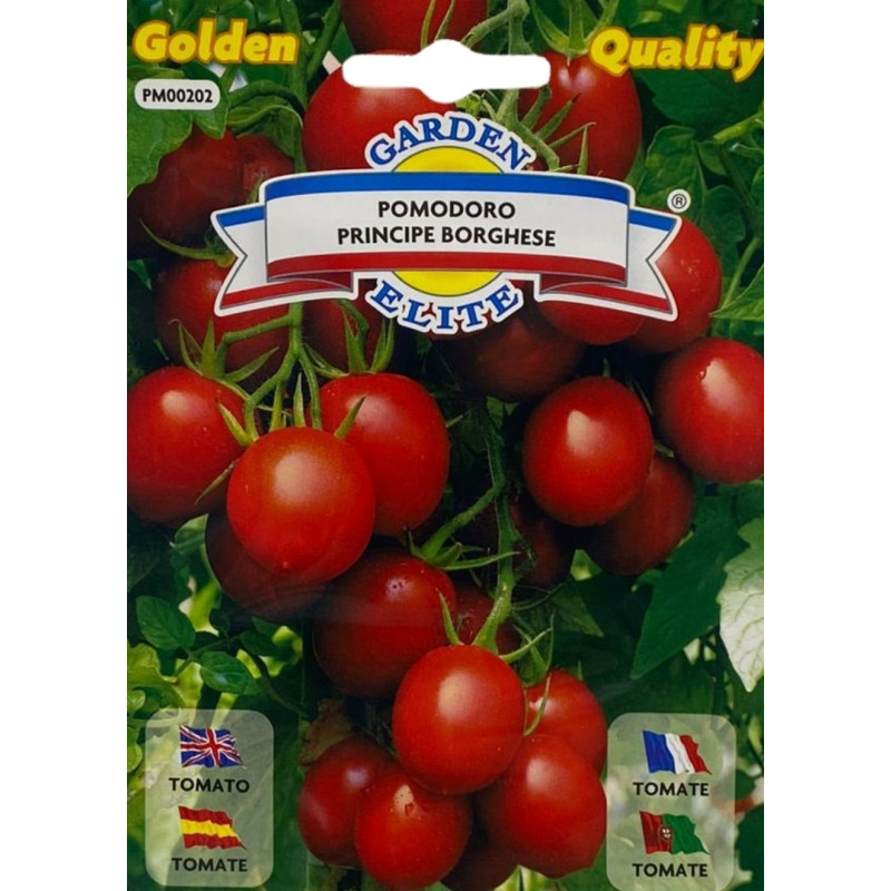 Racimos de tomates pequeños y ovalados de la variedad principe borghese, ideales para sembrar nuestras semillas de calidad.