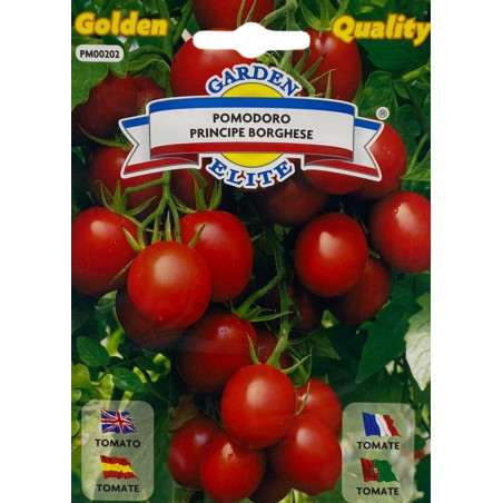 Racimos de tomates pequeños y ovalados de la variedad principe borghese, ideales para sembrar nuestras semillas de calidad.