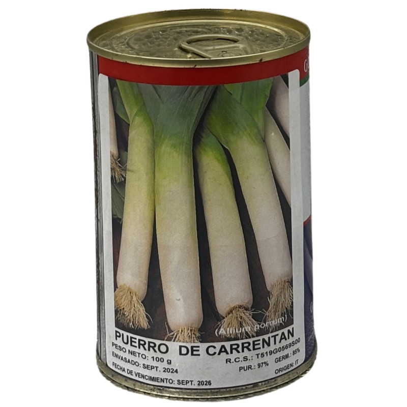Tallos blancos y limpios de puerro recién cosechados, perfectos para sembrar nuestras semillas de puerro de calidad premium.