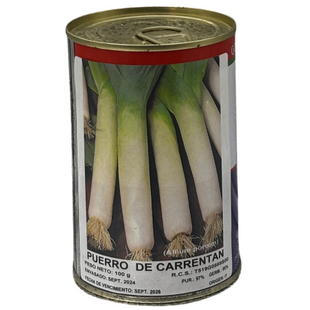 Tallos blancos y limpios de puerro recién cosechados, perfectos para sembrar nuestras semillas de puerro de calidad premium.