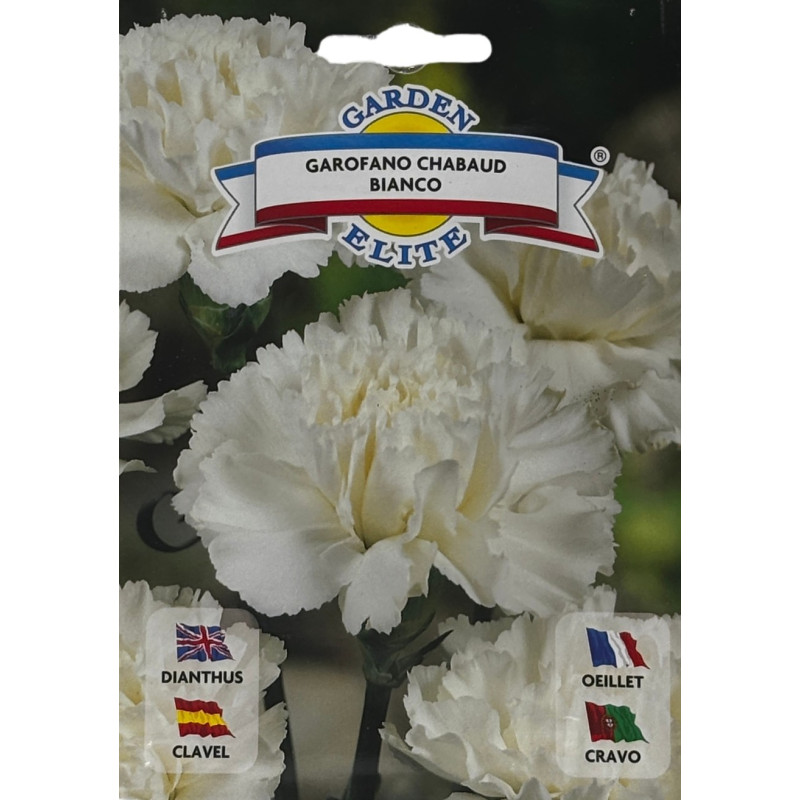 Semillas de Clavel Blanco | Flor Elegante y Aromática