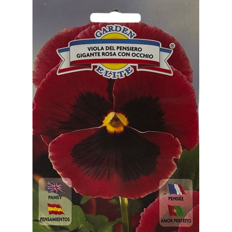 Flores de pensamiento rojo intenso y aterciopelado en un jardín, perfectas para sembrar nuestras semillas de calidad premium.