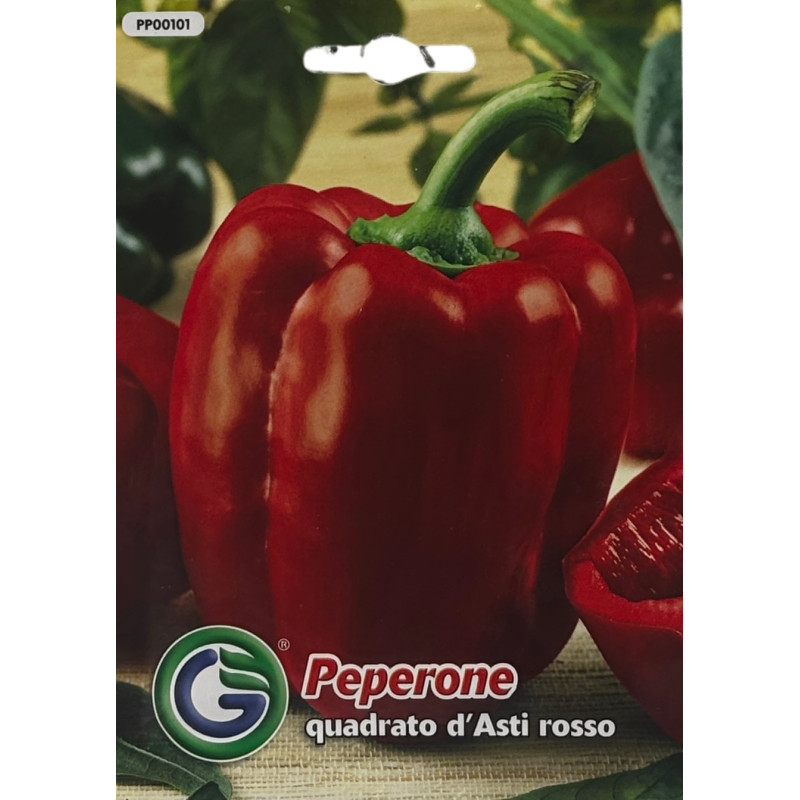Pimiento rojo grande, brillante y carnoso listo para cosechar, perfecto para sembrar nuestras semillas de calidad premium.