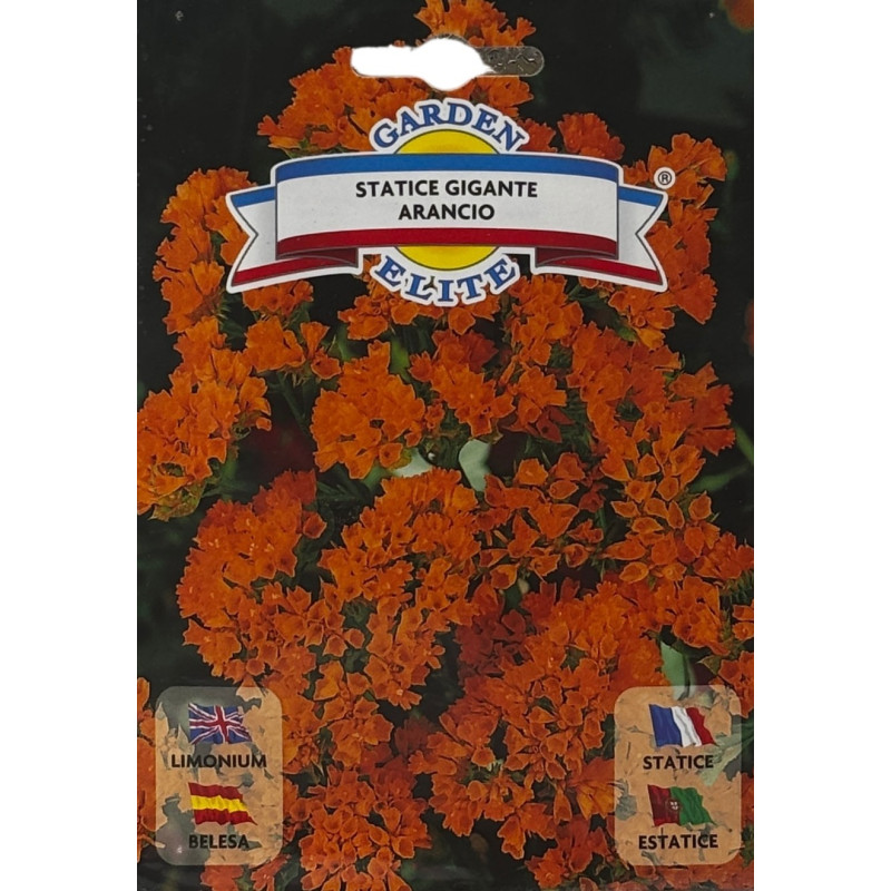 Semillas de Belesa Tomate | Flor Ornamental Única