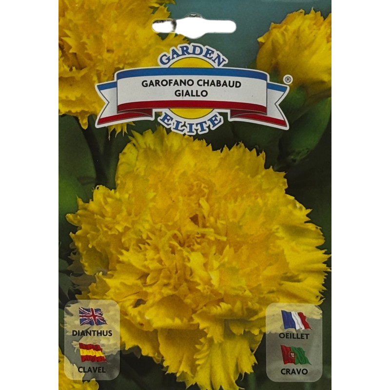 Semillas de clavel amarillo | Flor Clásica y Aromática