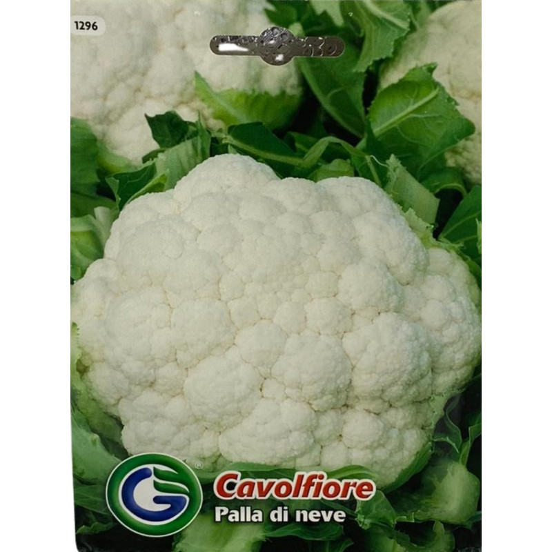 Semillas de Coliflor | Cultivo de Hortalizas de Calidad