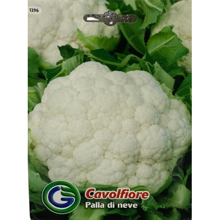 Semillas de Coliflor | Cultivo de Hortalizas de Calidad