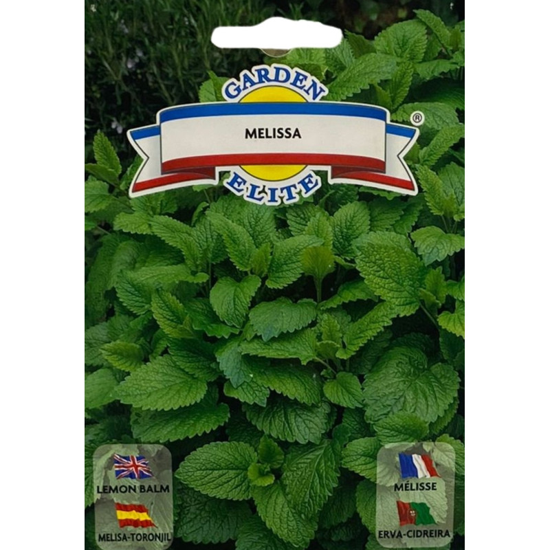 Semillas de Toronjil | Hierba Aromática y Calmante