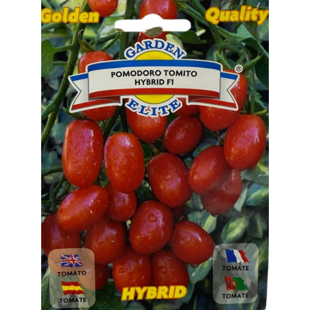 Racimos de tomates tomito híbrido pequeños, rojos y brillantes listos para recoger, ideales para sembrar nuestras semillas.