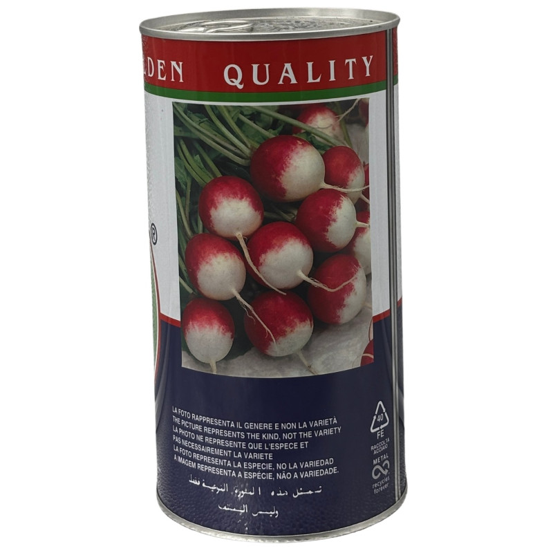 Rábanos punta blanca con base clara y cuerpo rojo, recién cosechados, perfectos para sembrar nuestras semillas premium.