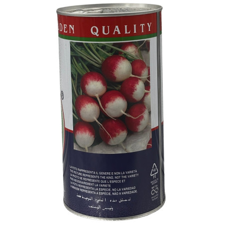 Rábanos punta blanca con base clara y cuerpo rojo, recién cosechados, perfectos para sembrar nuestras semillas premium.