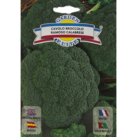 Semillas de Brócoli | Cultivo Nutritivo y Saludable