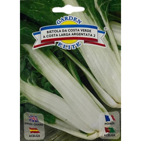 semillas de acelga verde