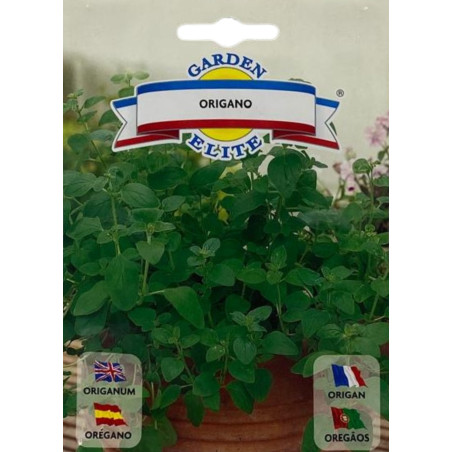Hojas verdes y aromáticas de orégano fresco, perfectas para sembrar nuestras semillas de calidad premium.