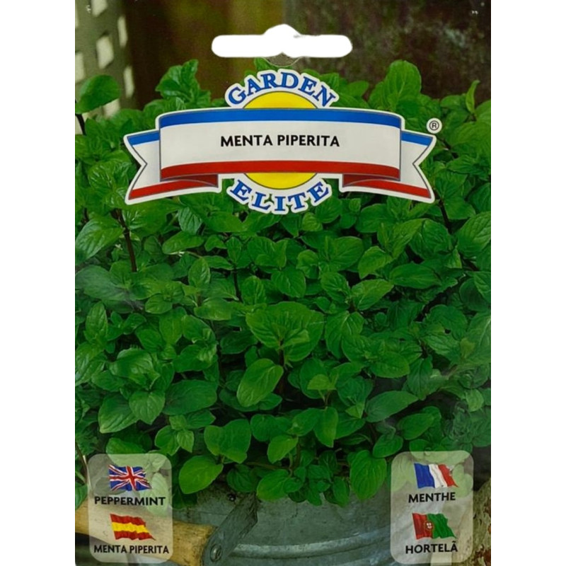Hojas frescas y vibrantes de menta, ideales para sembrar nuestras semillas de calidad premium en tu propio jardín.