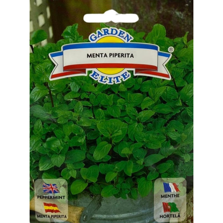 Hojas frescas y vibrantes de menta, ideales para sembrar nuestras semillas de calidad premium en tu propio jardín.