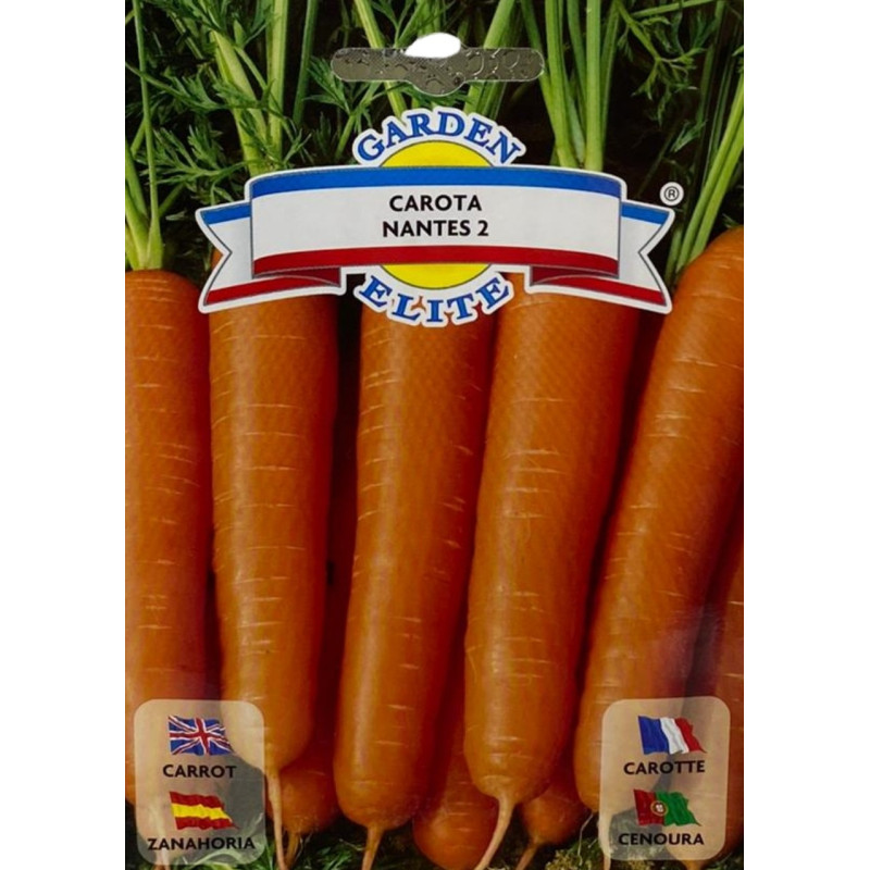 Zanahoria nantes cilíndrica, de punta roma, color naranja intenso y piel lisa, ideal para sembrar nuestras semillas premium.