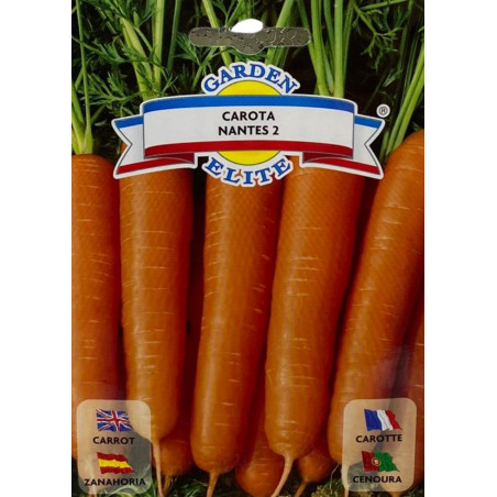 Zanahoria nantes cilíndrica, de punta roma, color naranja intenso y piel lisa, ideal para sembrar nuestras semillas premium.