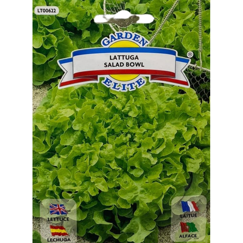 Lechuga salad bowl con hojas verdes profundamente lobuladas y textura tierna, ideales para sembrar nuestras semillas premium.
