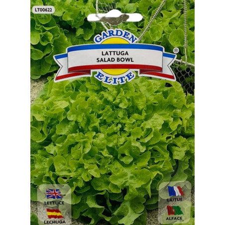 Lechuga salad bowl con hojas verdes profundamente lobuladas y textura tierna, ideales para sembrar nuestras semillas premium.