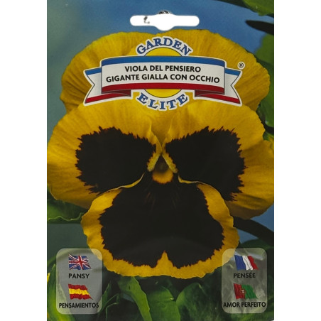 Semillas de Pensamiento Amarillo | Flores Vívidas y Elegantes
