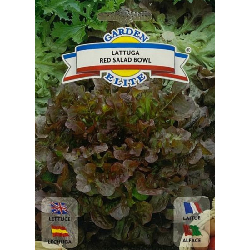 Semillas de Lechuga Red Salad Bowl | Hoja Roble Roja