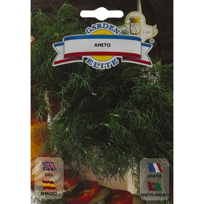 Tallos frescos de eneldo en un huerto productivo, ideales para sembrar nuestras semillas de eneldo de calidad premium.