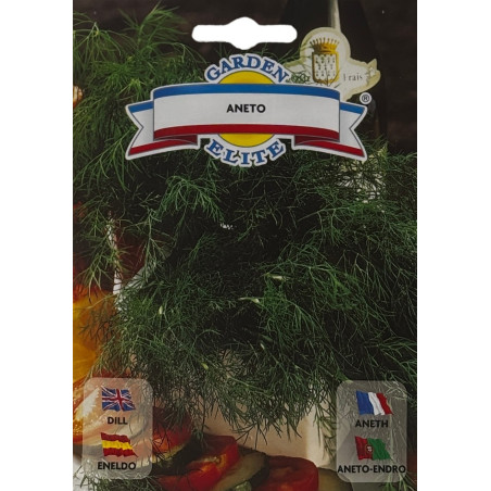 Tallos frescos de eneldo en un huerto productivo, ideales para sembrar nuestras semillas de eneldo de calidad premium.