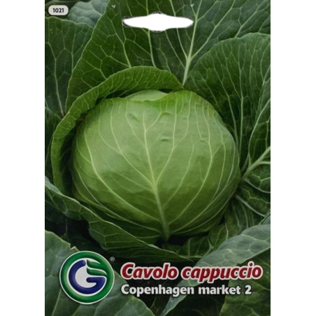 Semillas de Col Copenhagen | Variedad de Cabeza Firme