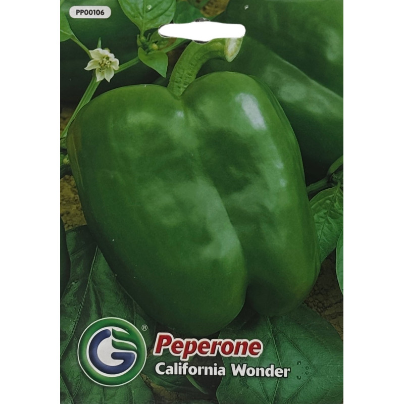 Pimiento verde brillante, firme y fresco, ideal para sembrar nuestras semillas de calidad premium en tu huerto.