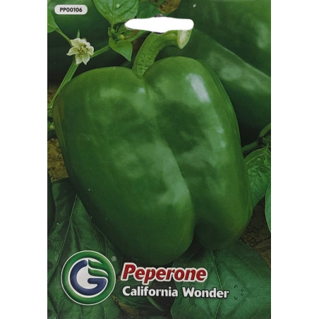 Pimiento verde brillante, firme y fresco, ideal para sembrar nuestras semillas de calidad premium en tu huerto.