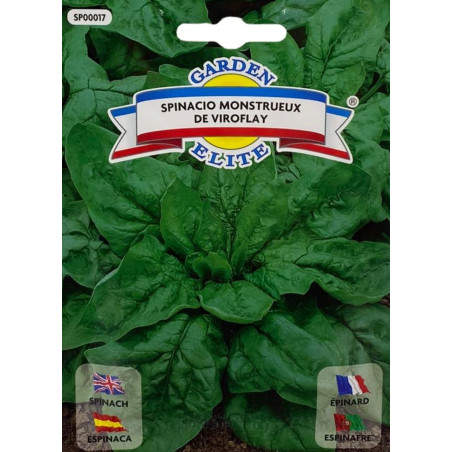 Semillas de Espinaca | Variedad Gigante y Productiva