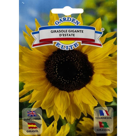 Semillas de Girasol Gigante | Flor de Altura Impresionante