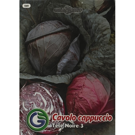 Semillas de Col Morada | Vegetal Antioxidante y Crujiente