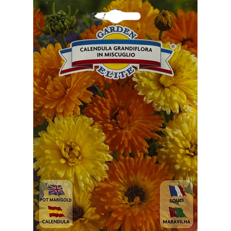Semillas de Caléndula | Flor Medicinal y Ornamental