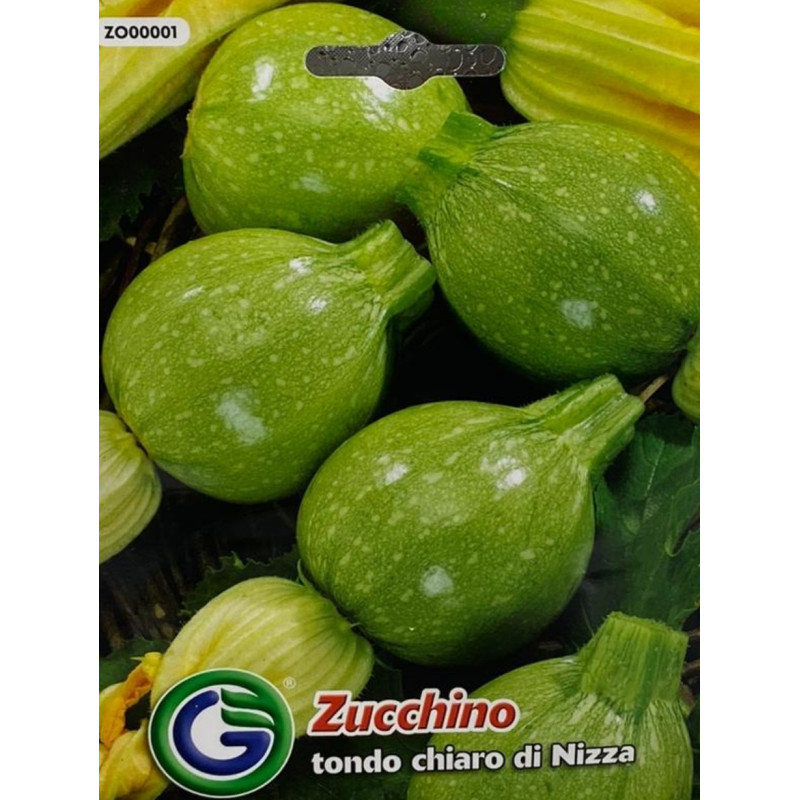 Calabacines redondos de la variedad tondo chiaro nizza, perfectos para sembrar nuestras semillas de calidad premium.