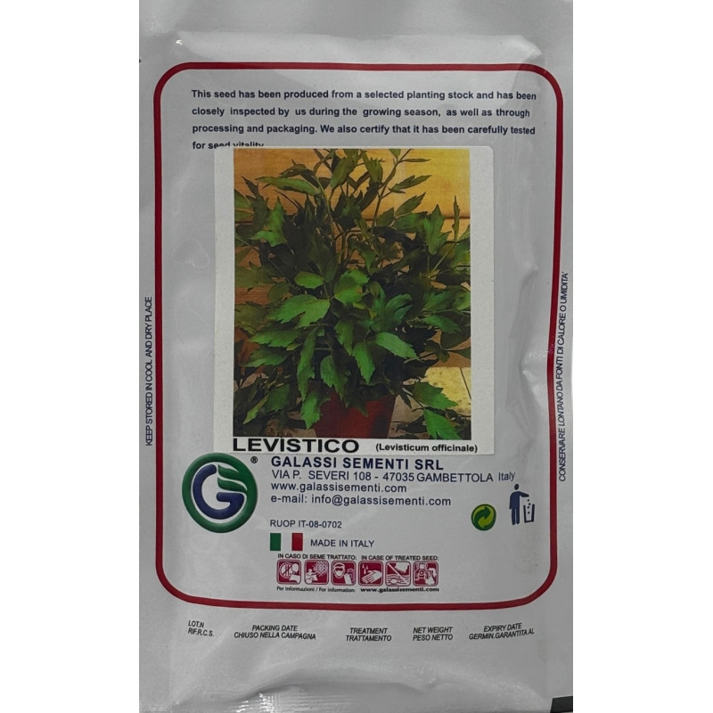Semillas de Hierba Maggy | Hierba Aromática Gourmet